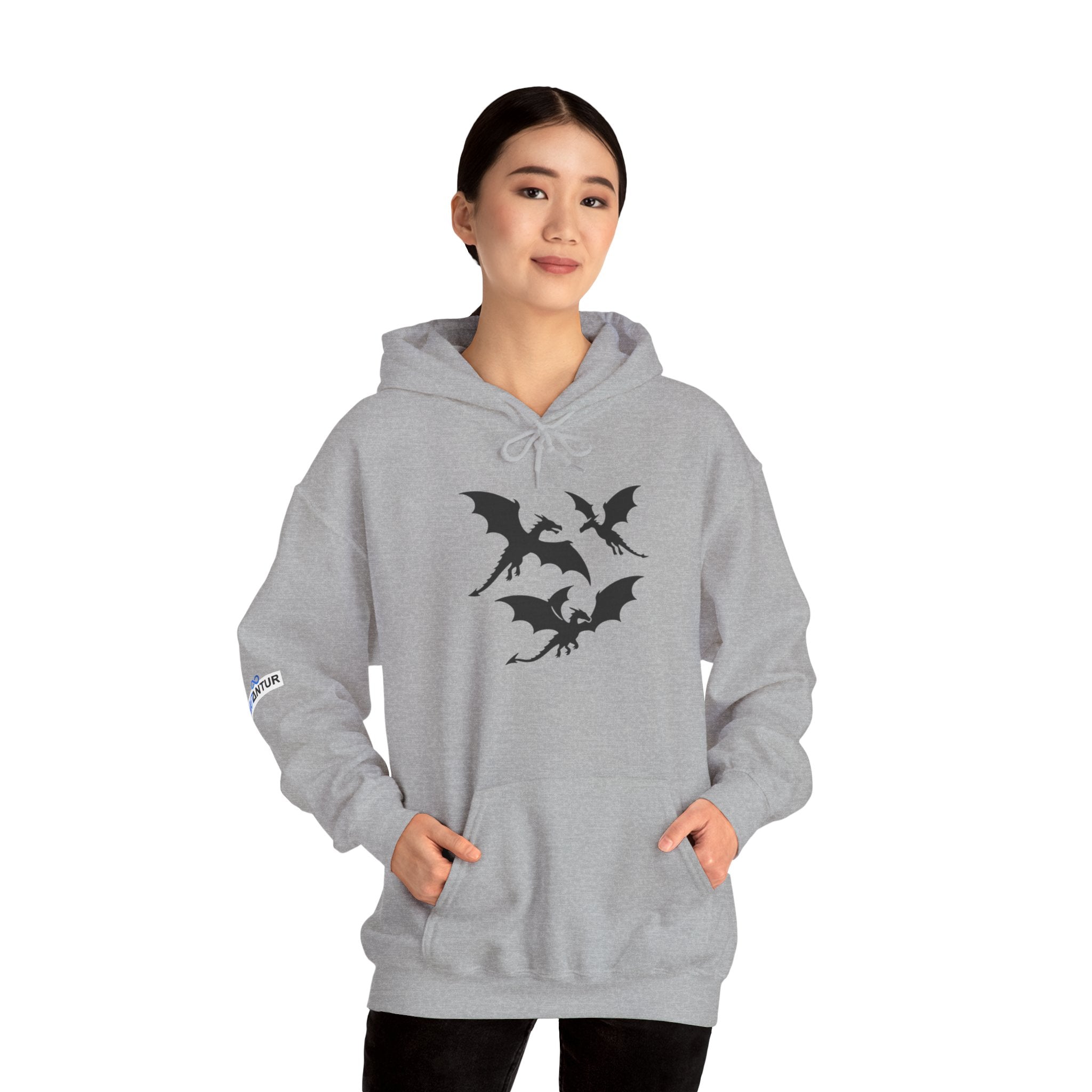 Mystical Dragon Hoodie for Fall Gatherings, Cozy Unisex Sweatshirt for Halloween, Fantasy lovers, Gifts for gamers