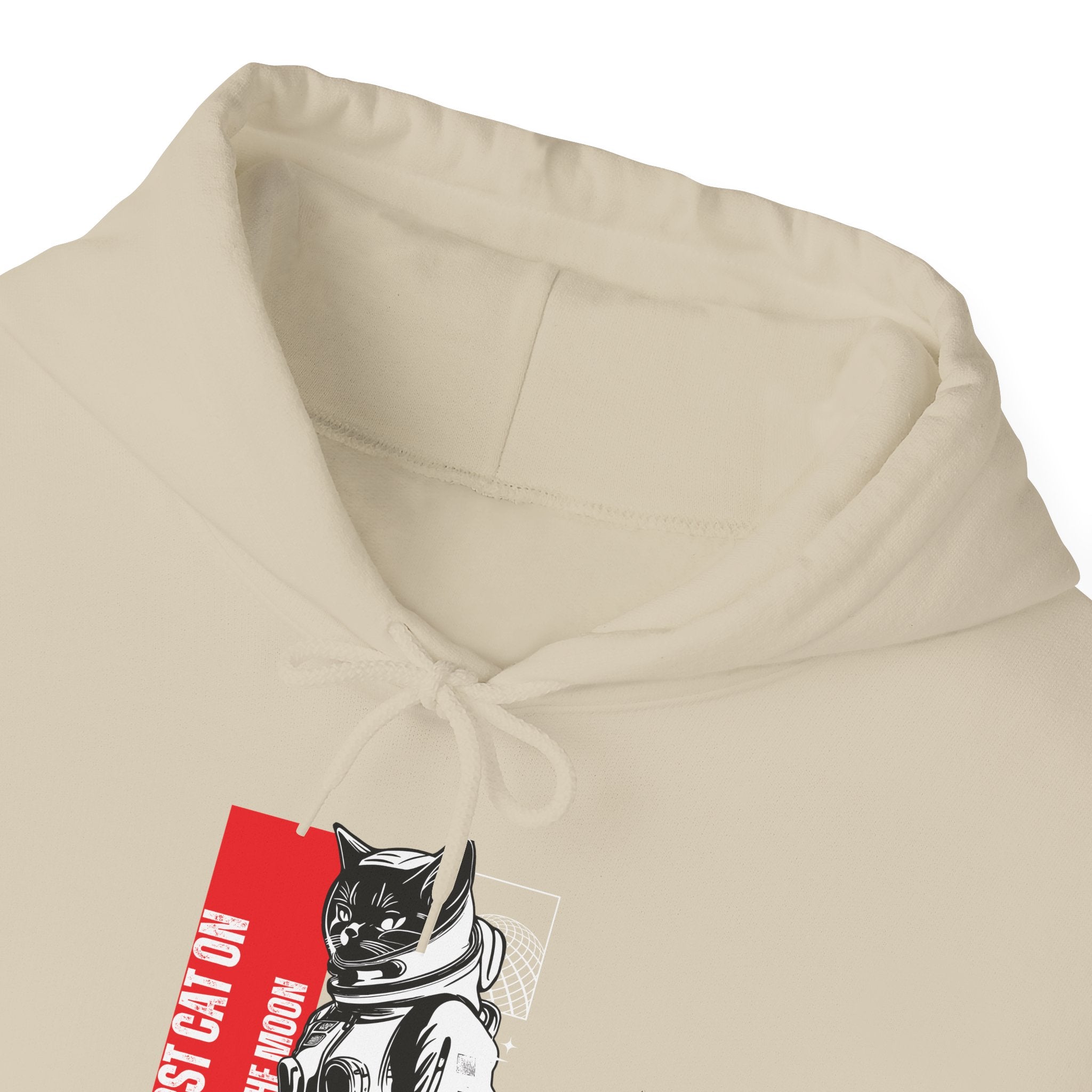 First Cat on the Moon Buzz Pawldrin Astronaut Graphic Unisex Hoodie,