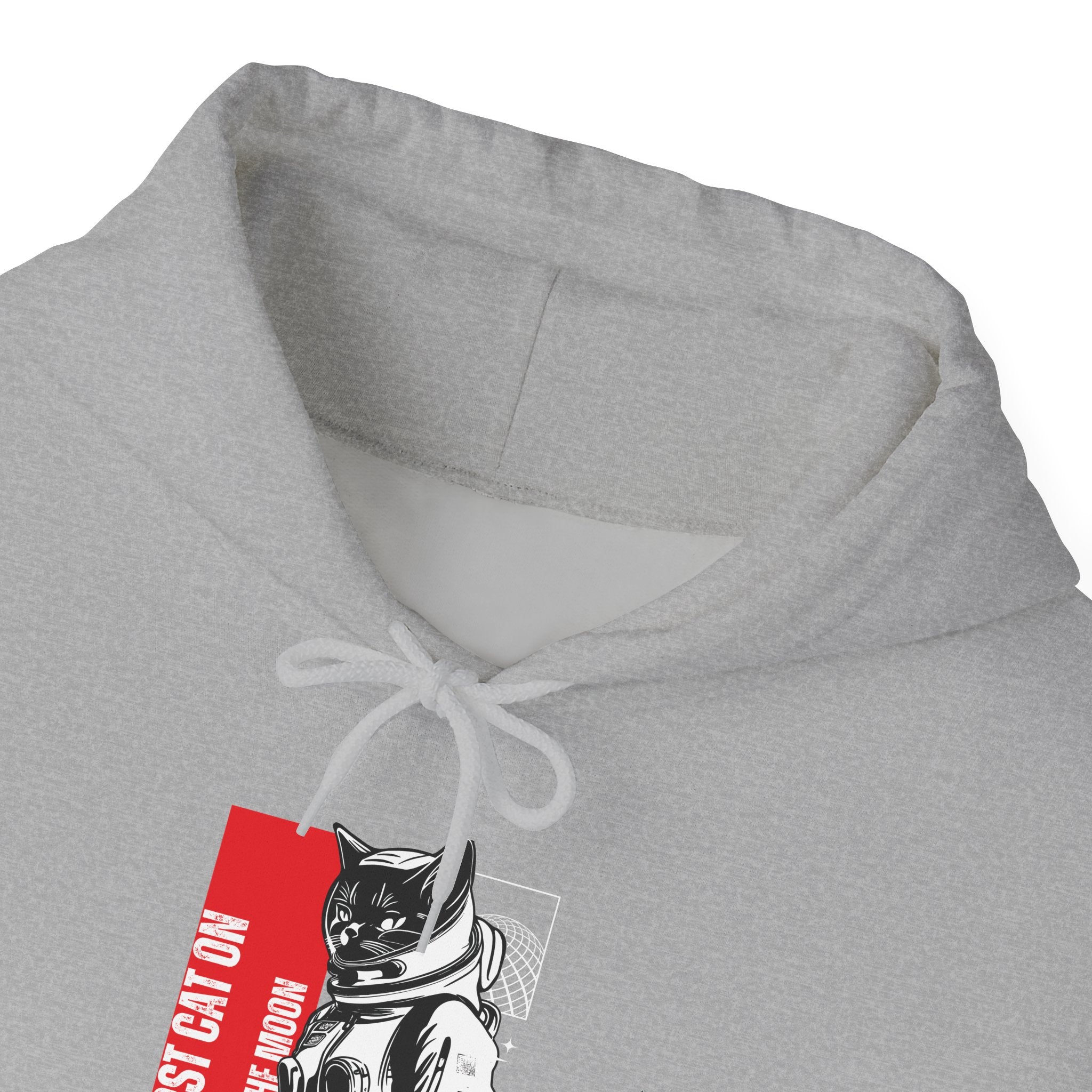 First Cat on the Moon Buzz Pawldrin Astronaut Graphic Unisex Hoodie,