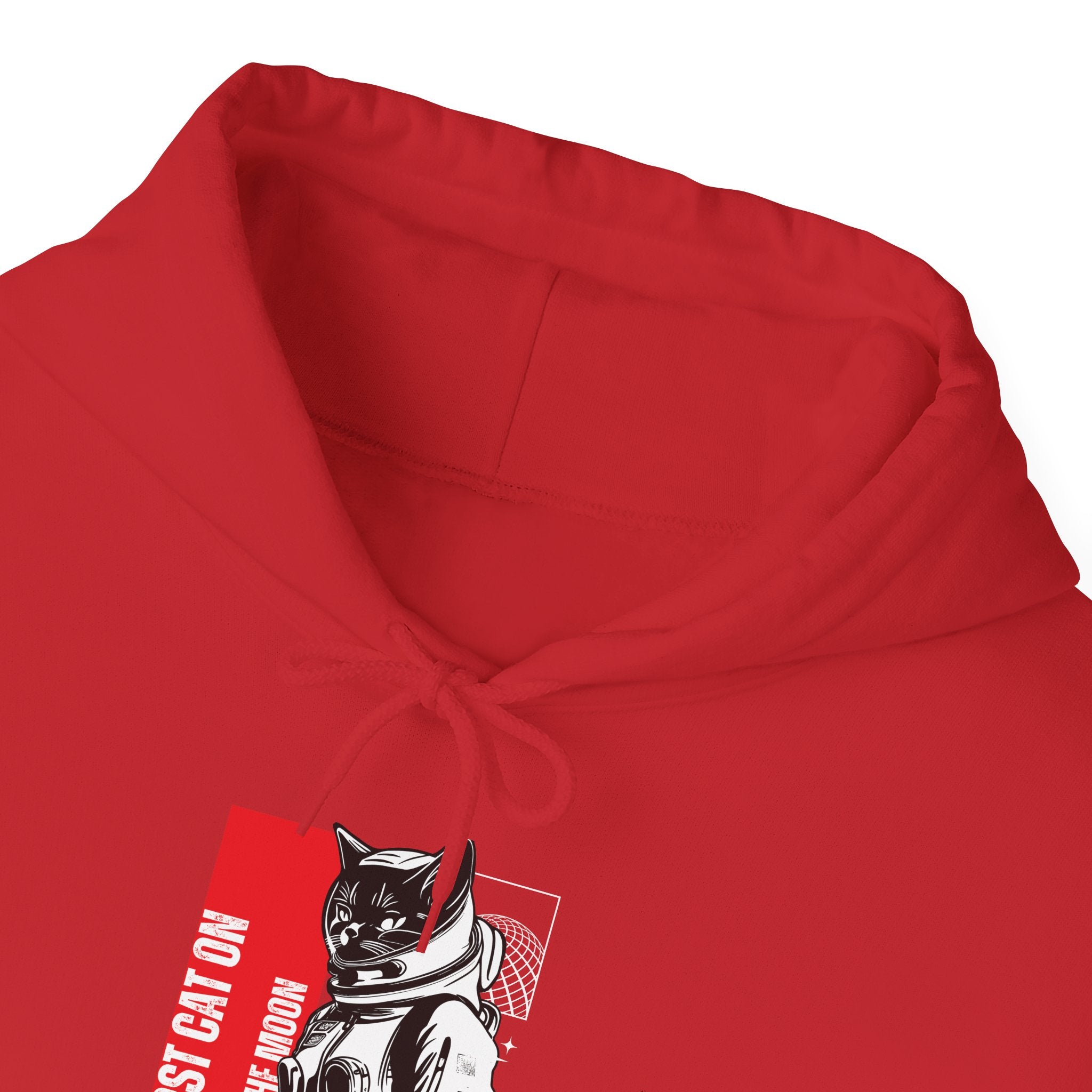 First Cat on the Moon Buzz Pawldrin Astronaut Graphic Unisex Hoodie,