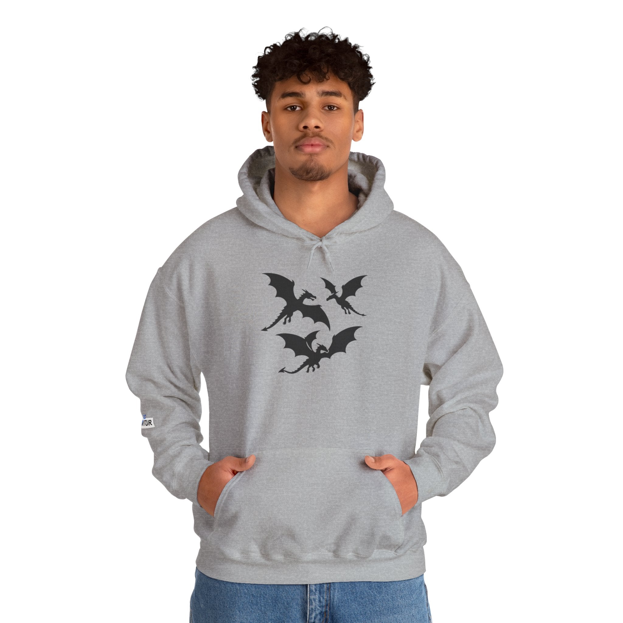 Mystical Dragon Hoodie for Fall Gatherings, Cozy Unisex Sweatshirt for Halloween, Fantasy lovers, Gifts for gamers